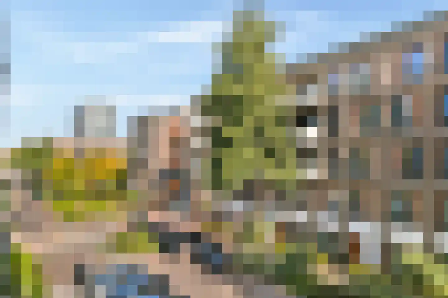 Suze Robertsonstraat 55 Amsterdam thumbnail 17