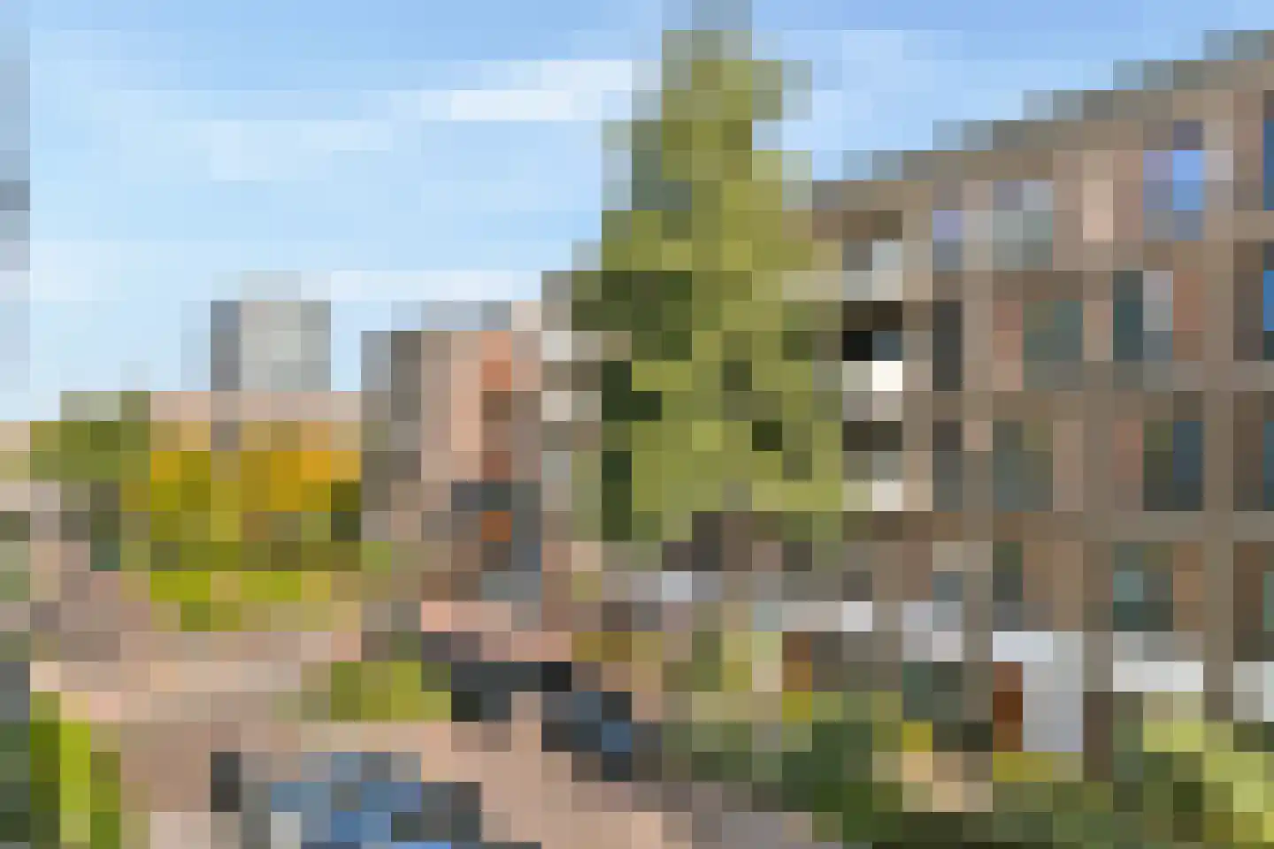 Suze Robertsonstraat 55 Amsterdam thumbnail 17