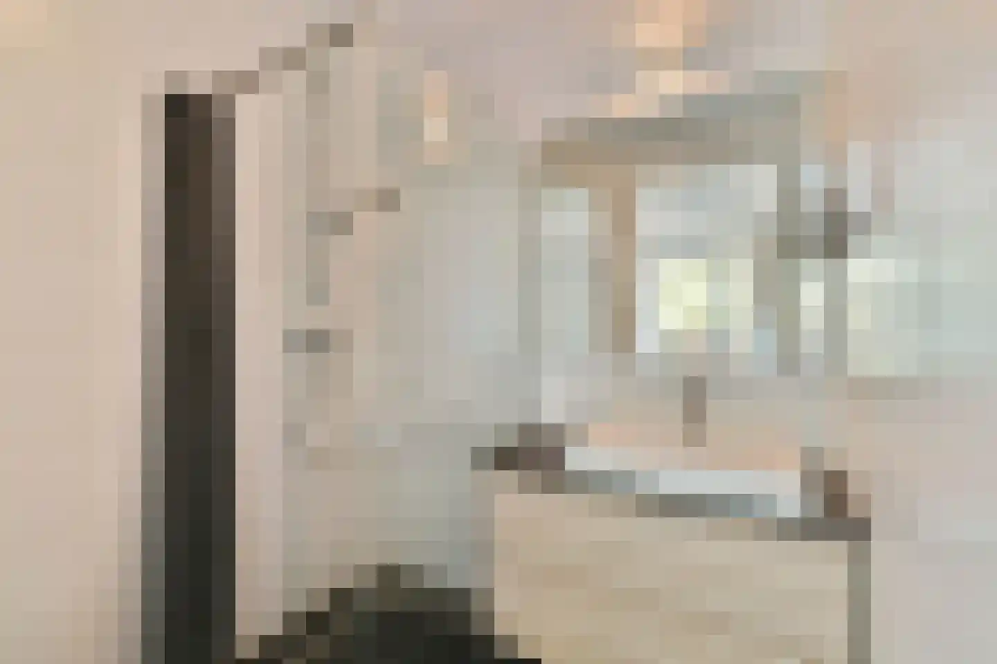 Suze Robertsonstraat 55 Amsterdam thumbnail 22