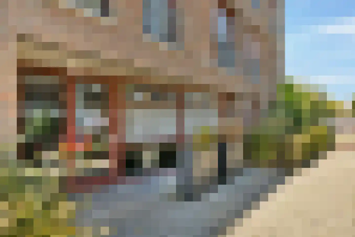 Suze Robertsonstraat 55 Amsterdam thumbnail 8