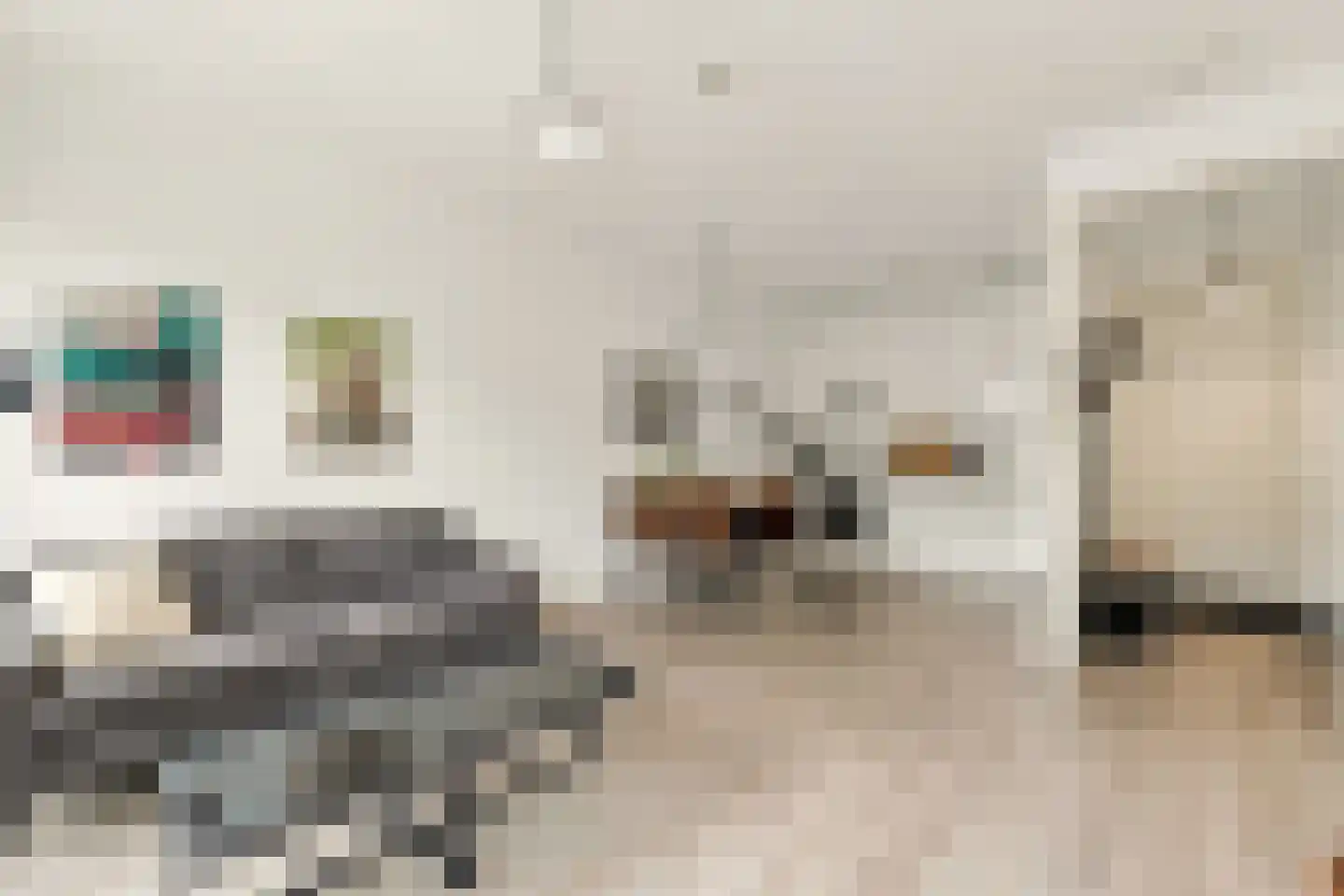 Suze Robertsonstraat 75 Amsterdam thumbnail 10