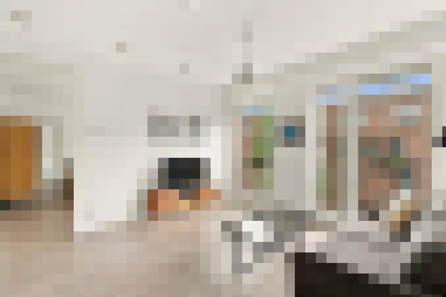 Suze Robertsonstraat 75 Amsterdam thumbnail 13