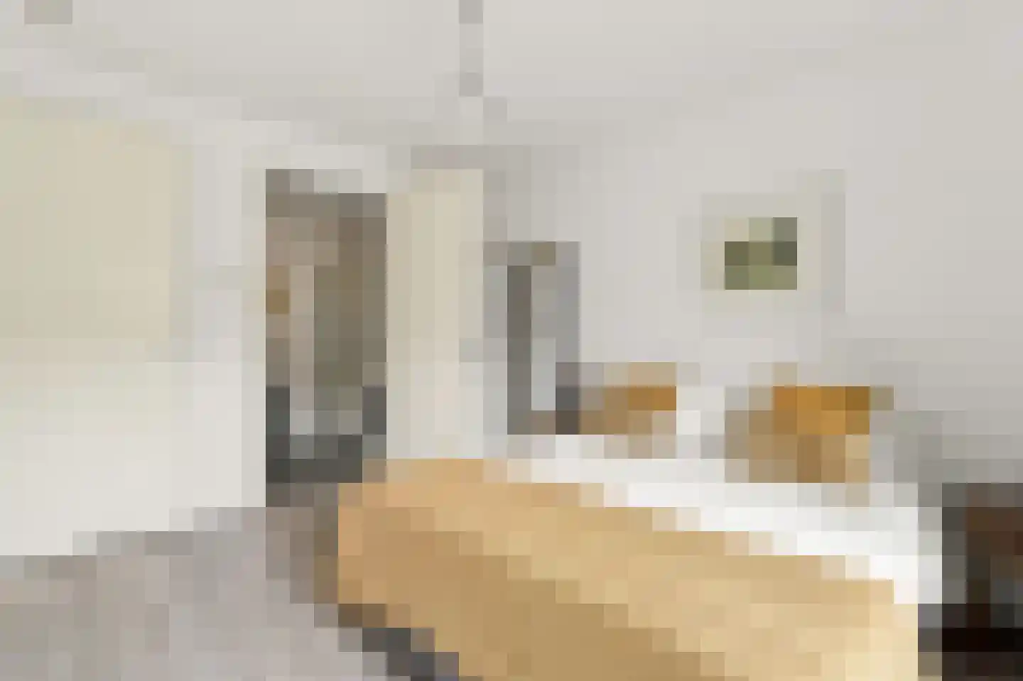 Suze Robertsonstraat 75 Amsterdam thumbnail 17