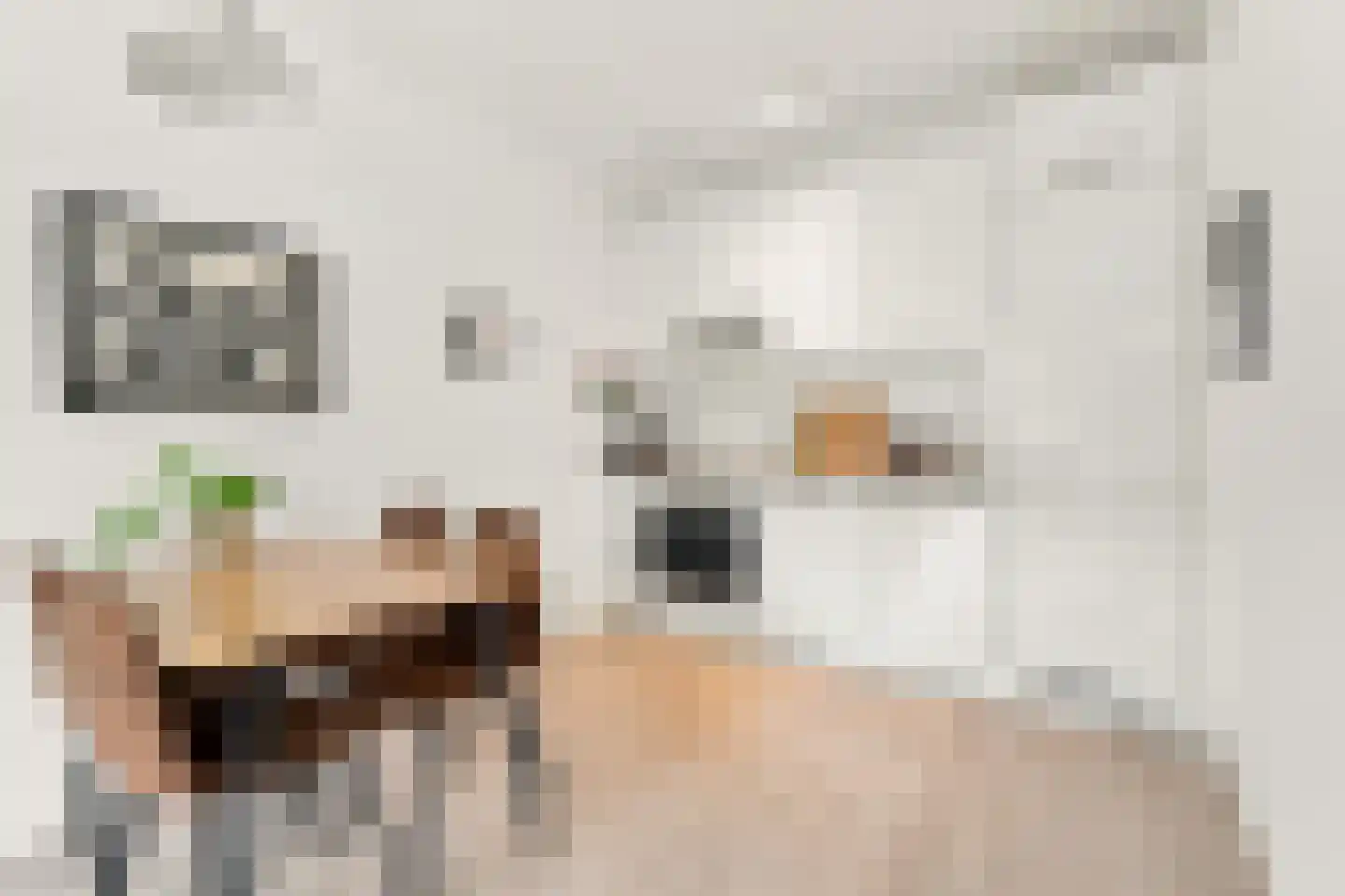 Suze Robertsonstraat 75 Amsterdam thumbnail 5