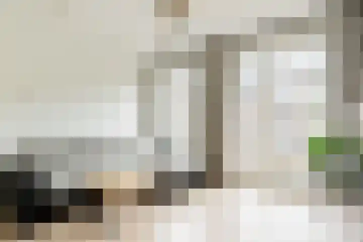 Suze Robertsonstraat 77 Amsterdam thumbnail 11