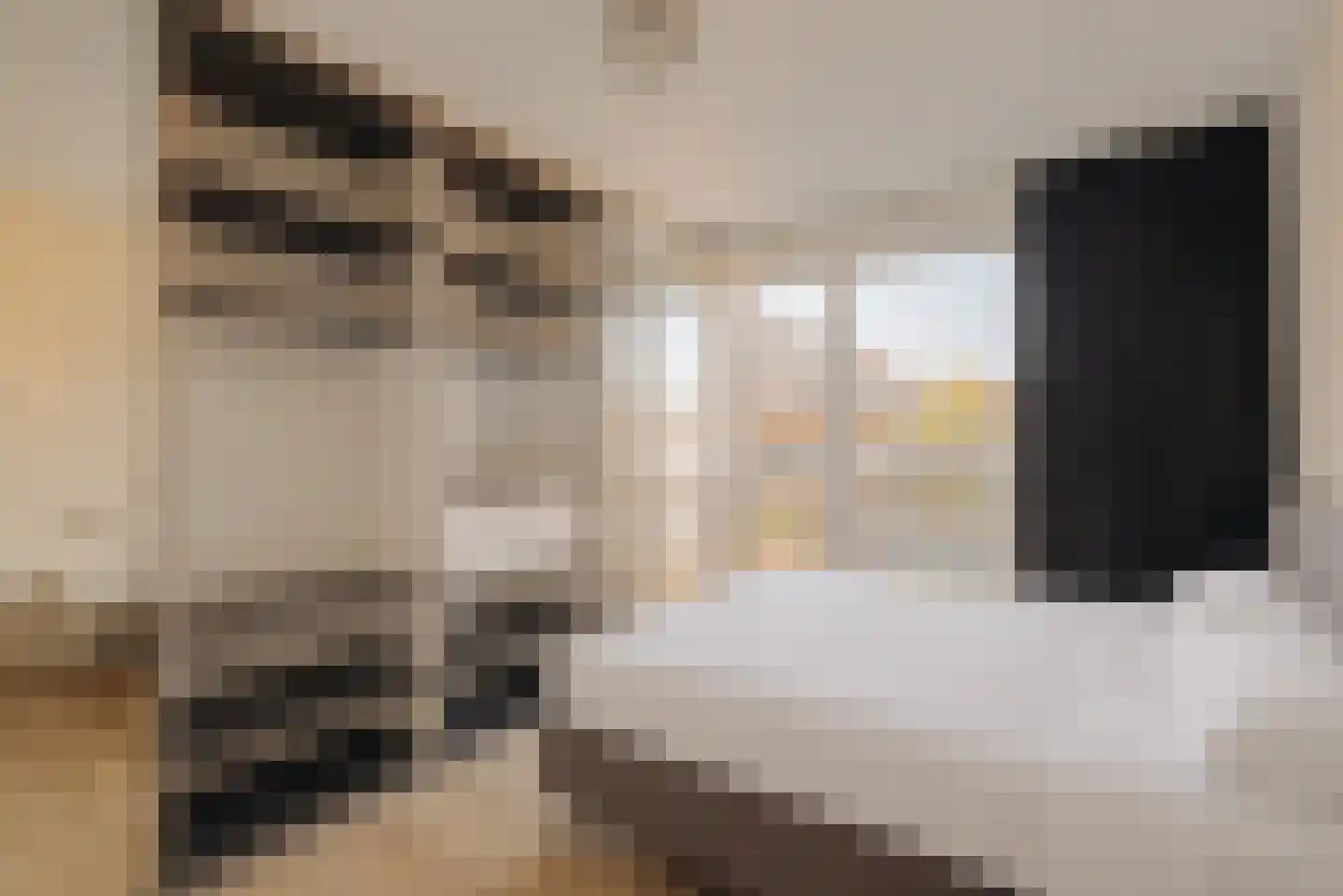Suze Robertsonstraat 81 Amsterdam thumbnail 13