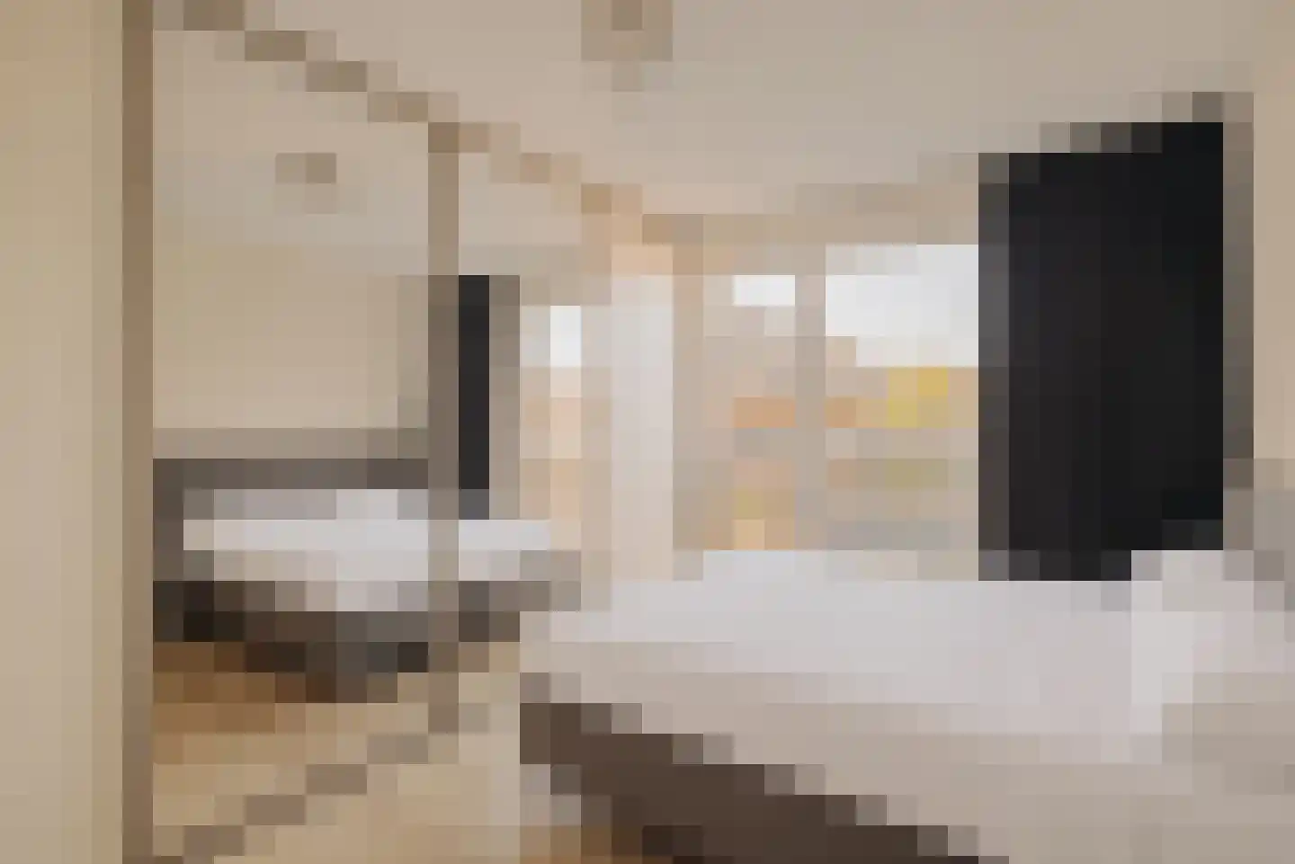 Suze Robertsonstraat 81 Amsterdam thumbnail 14