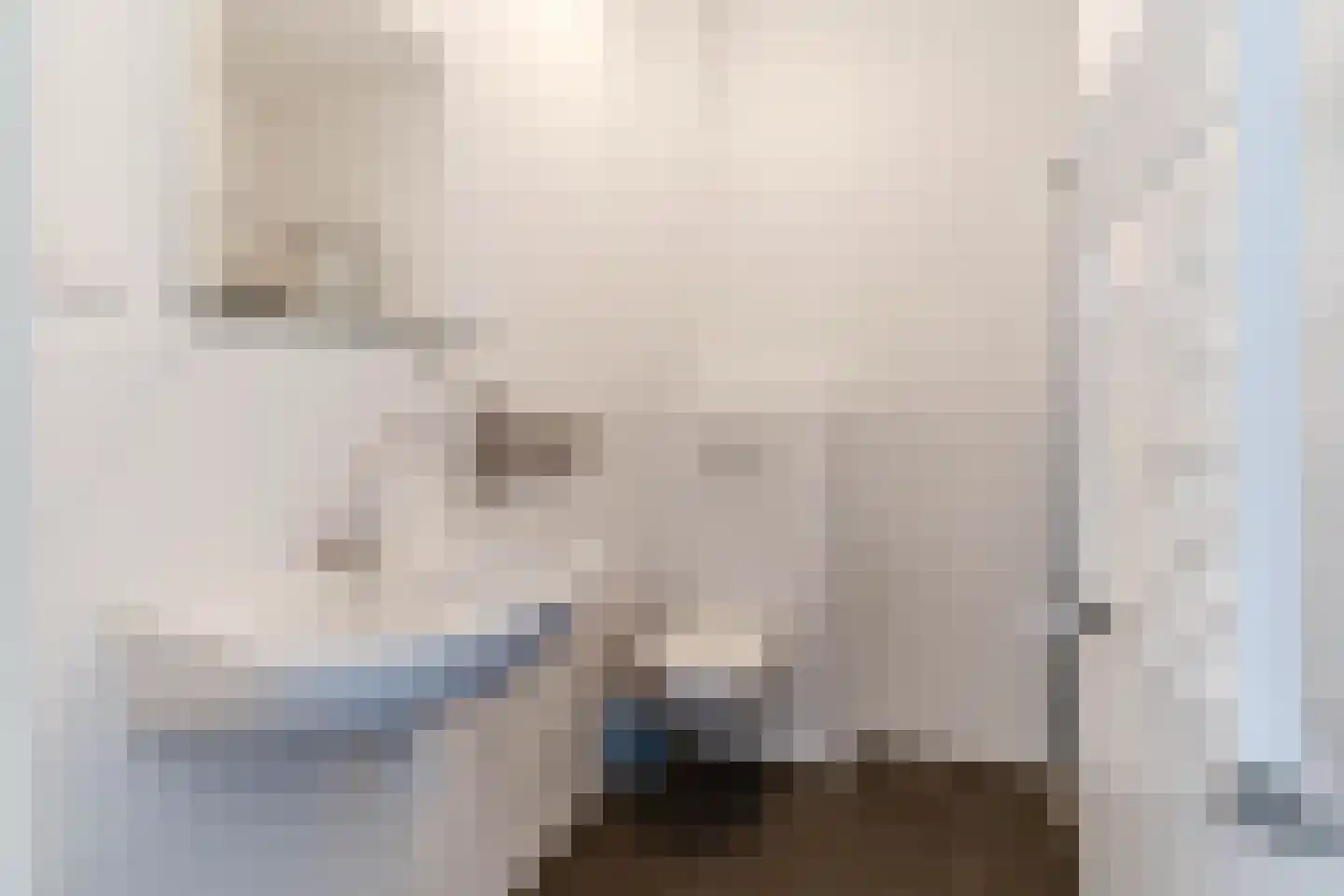 Suze Robertsonstraat 89 Den Haag thumbnail 12