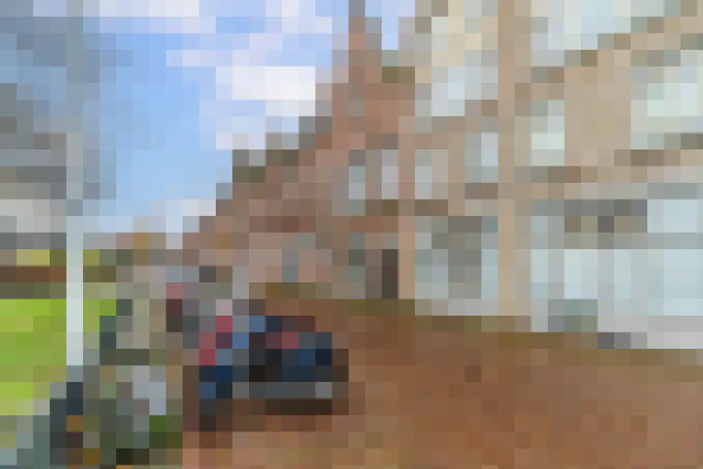Suze Robertsonstraat 89 Den Haag thumbnail 16