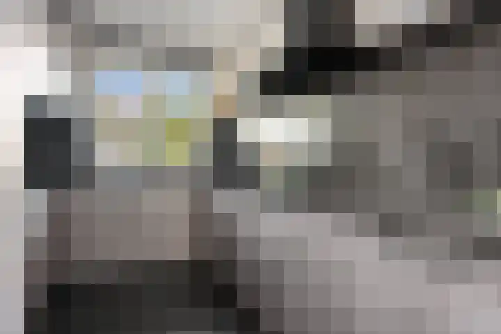 Sven Kramerstraat 98 Schiedam thumbnail 16