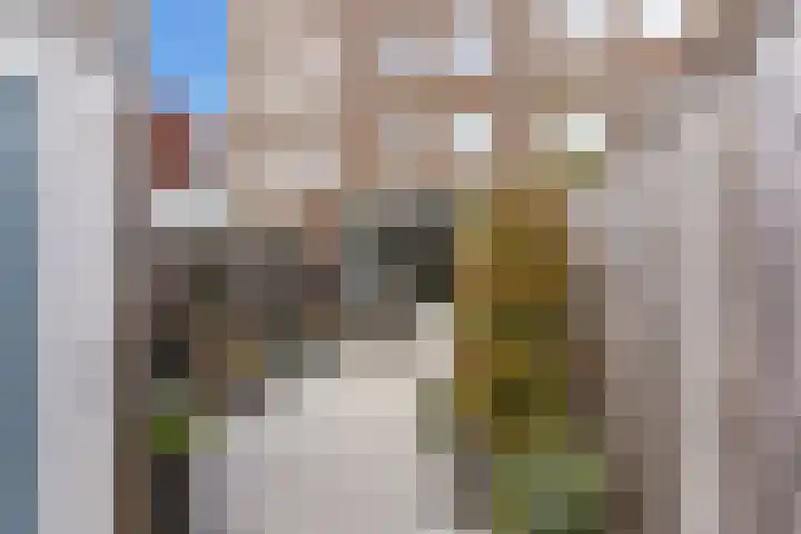 Sven Kramerstraat 98 Schiedam thumbnail 26