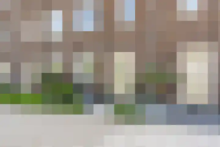Sven Kramerstraat 98 Schiedam thumbnail 52
