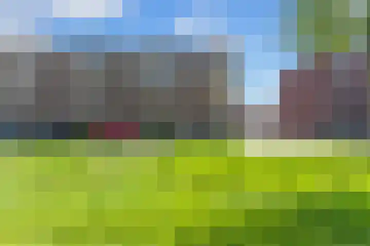 Sven Kramerstraat 98 Schiedam thumbnail 54