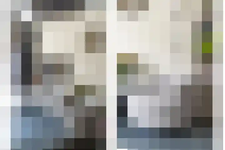 Sven Kramerstraat 98 Schiedam thumbnail 8