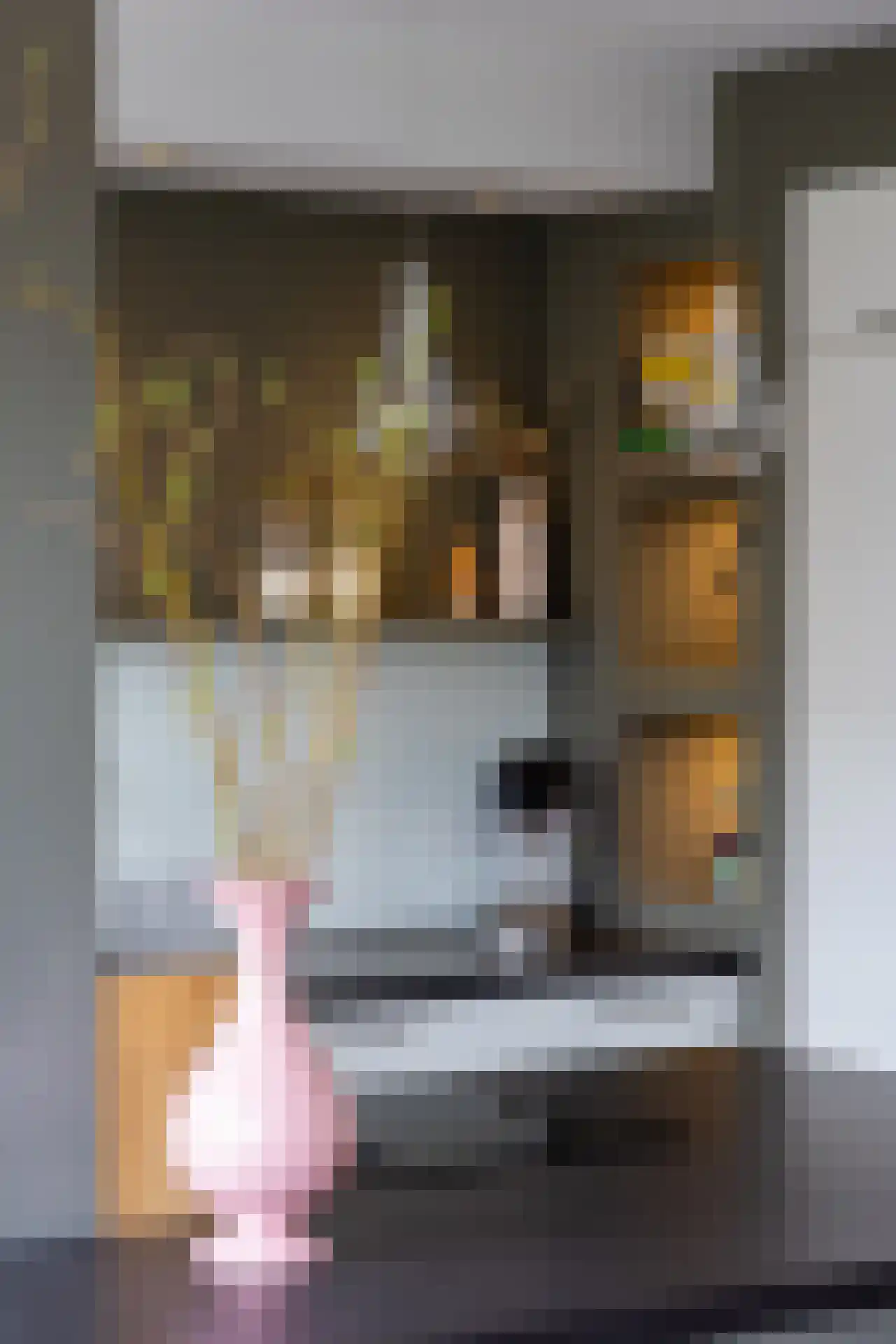 Svendsenlaan 13 Rotterdam thumbnail 12