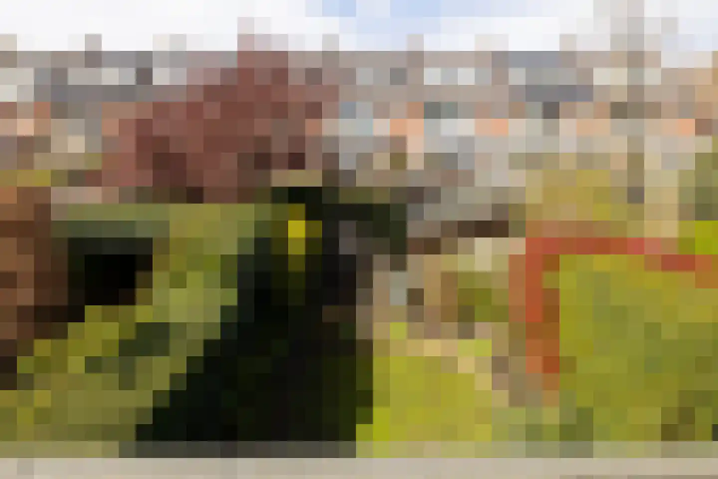 Svendsenlaan 13 Rotterdam thumbnail 9