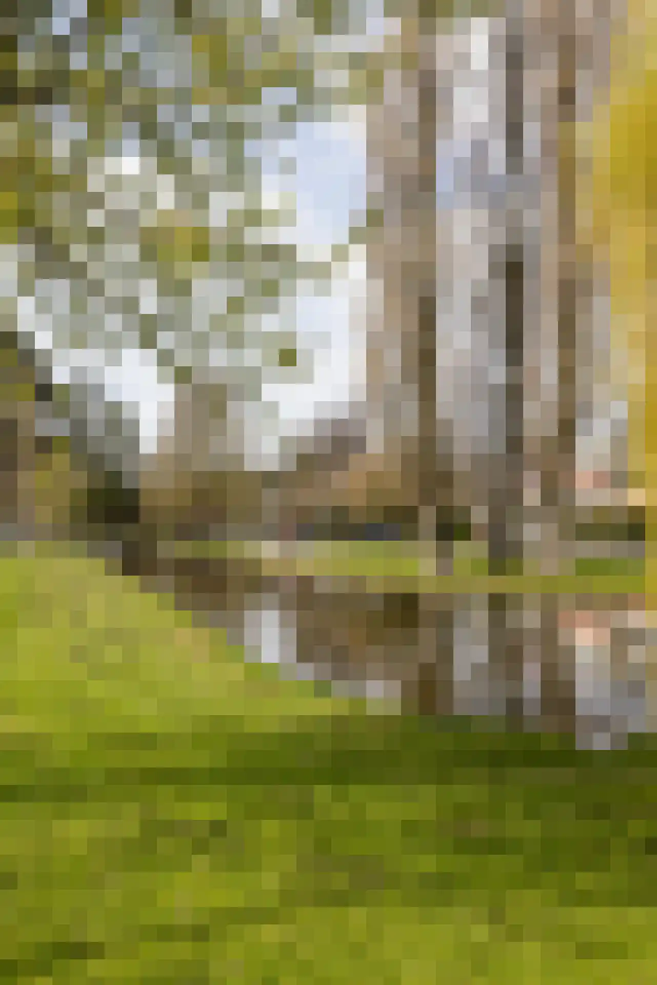 Svendsenlaan 13 Rotterdam thumbnail 36