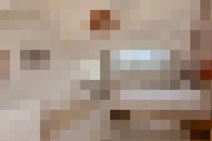 Svendsenlaan 32 Rotterdam thumbnail 14
