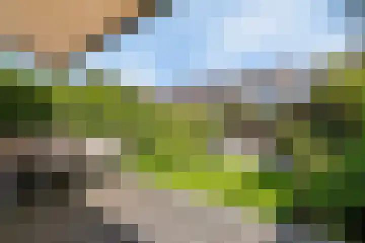 Svendsenlaan 32 Rotterdam thumbnail 15