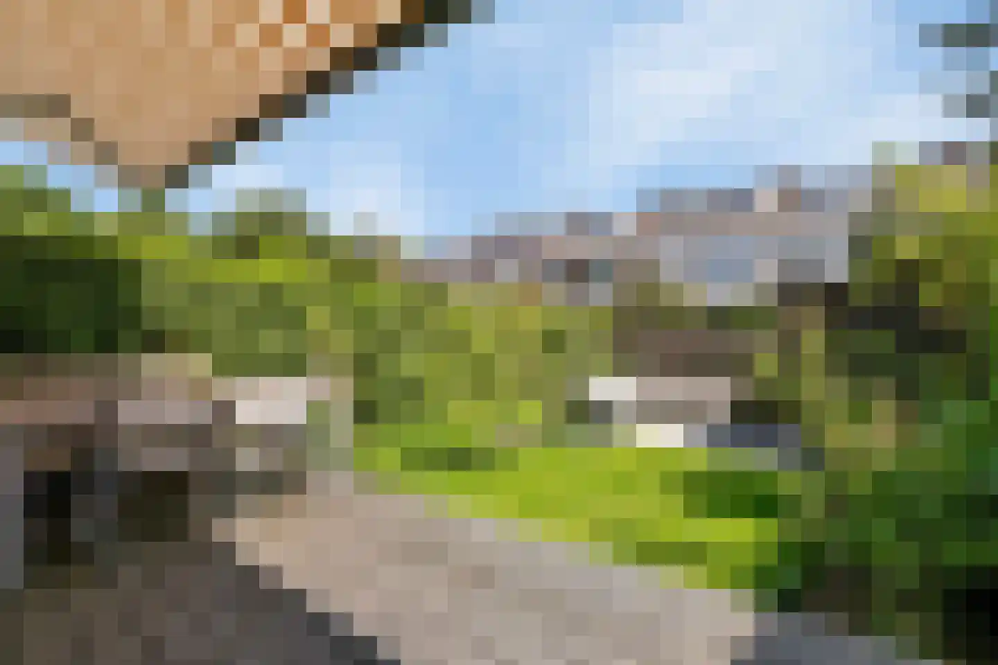 Svendsenlaan 32 Rotterdam thumbnail 16