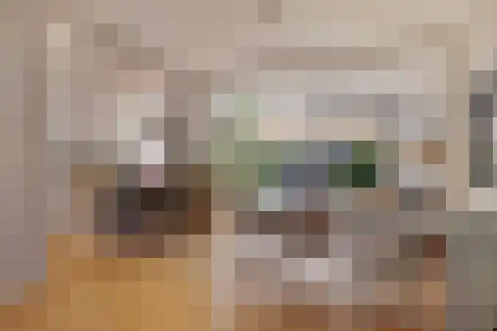 Svendsenlaan 32 Rotterdam thumbnail 5