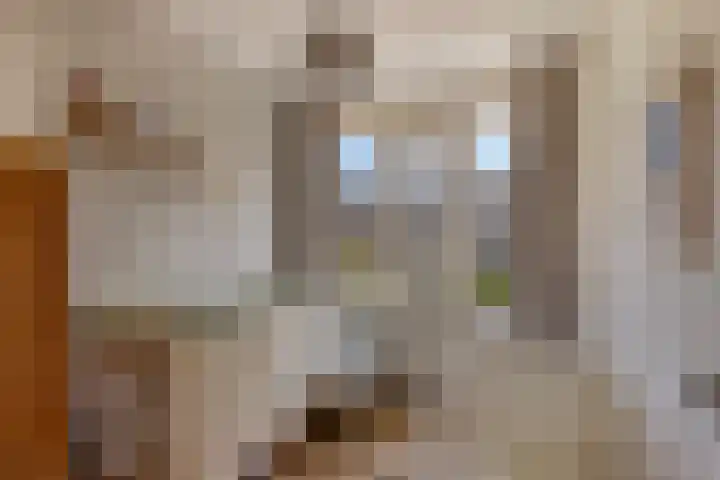 Svendsenlaan 32 Rotterdam thumbnail 9