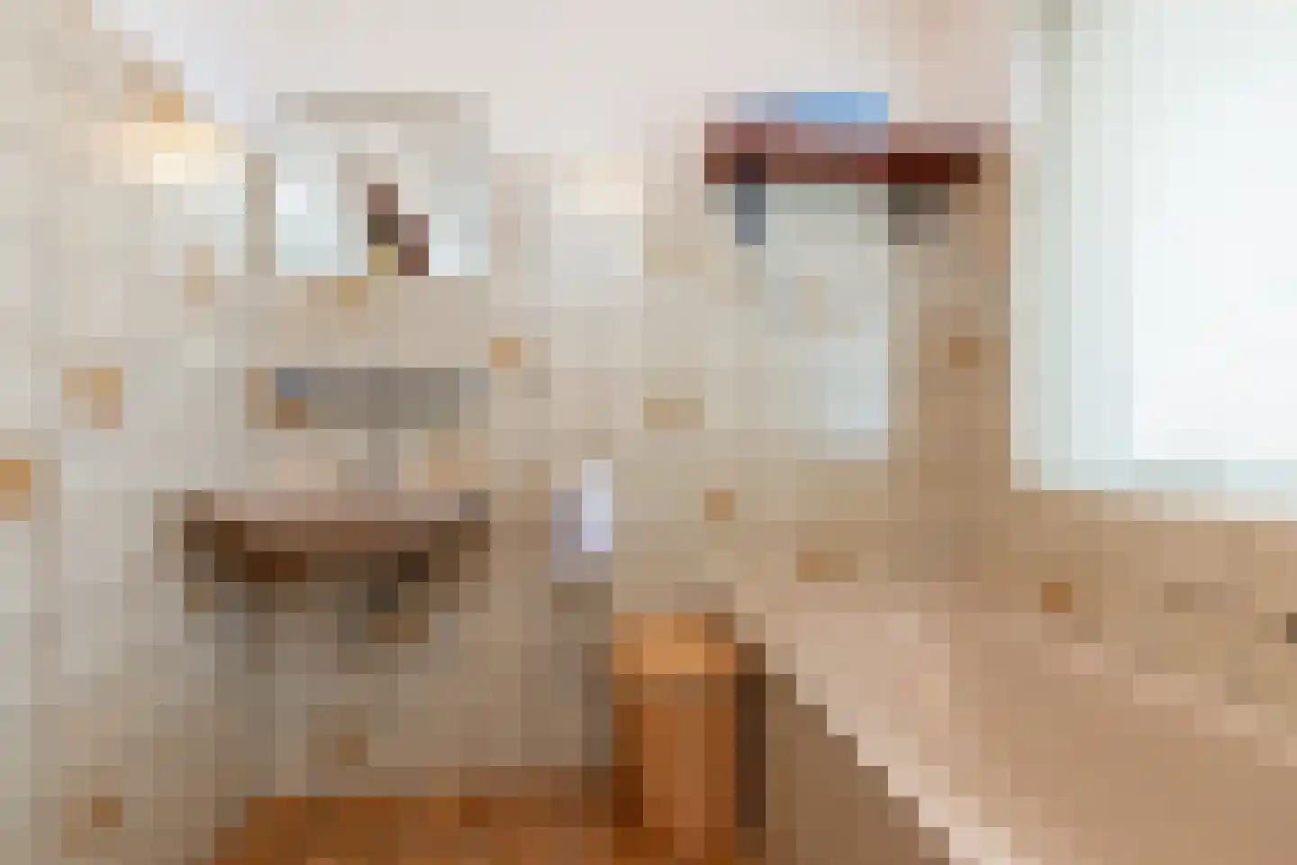 Swaalingestraat 15 Zoutelande thumbnail 17
