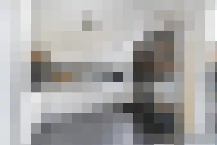 Swaalingestraat 2 Zoutelande thumbnail 11