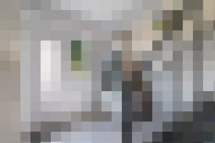 Swaalingestraat 2 Zoutelande thumbnail 14
