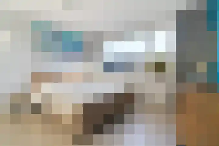 Swaalingestraat 2 Zoutelande thumbnail 20