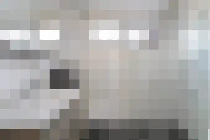 Swaalingestraat 2 Zoutelande thumbnail 25