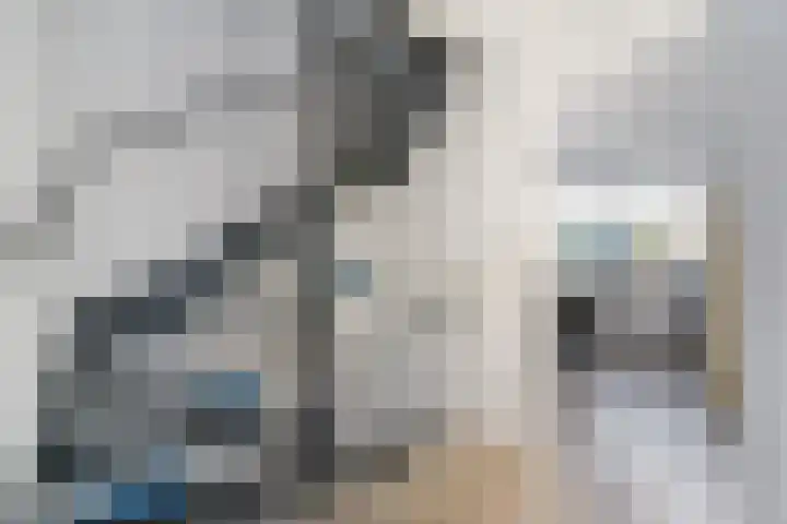 Swaalingestraat 2 Zoutelande thumbnail 27