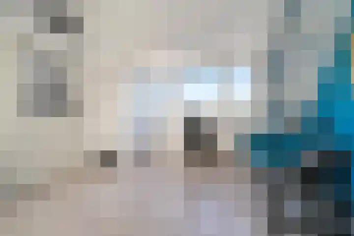 Swaalingestraat 2 Zoutelande thumbnail 29