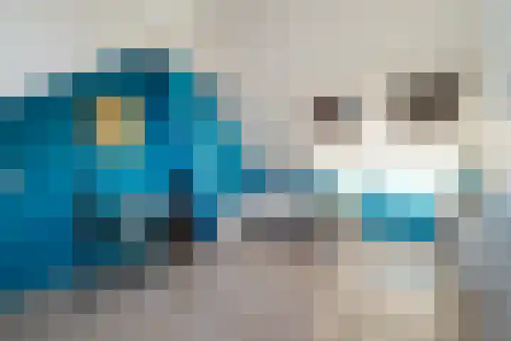 Swaalingestraat 2 Zoutelande thumbnail 30
