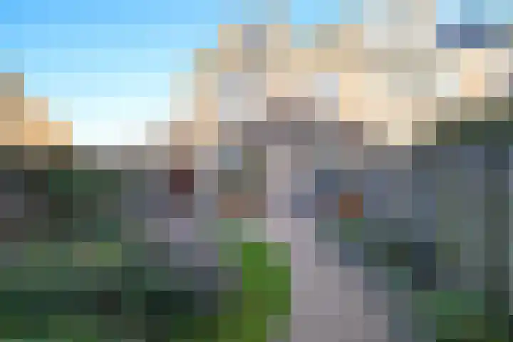 Swaalingestraat 2 Zoutelande thumbnail 32