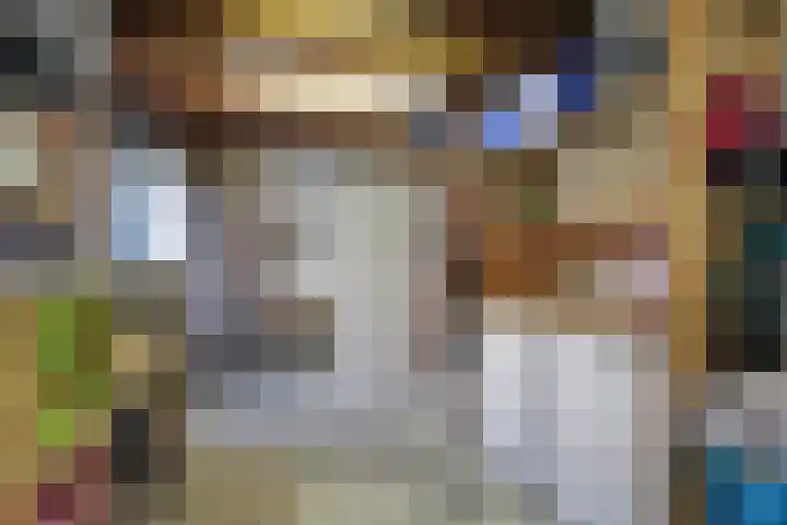 Swaalingestraat 2 Zoutelande thumbnail 37