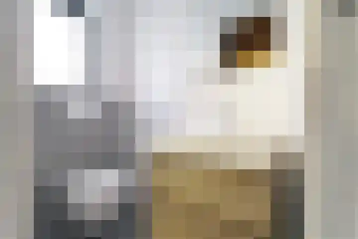 Swaalingestraat 2 Zoutelande thumbnail 38