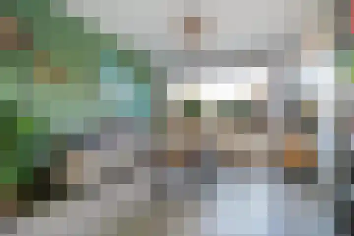 Swaalingestraat 2 Zoutelande thumbnail 4