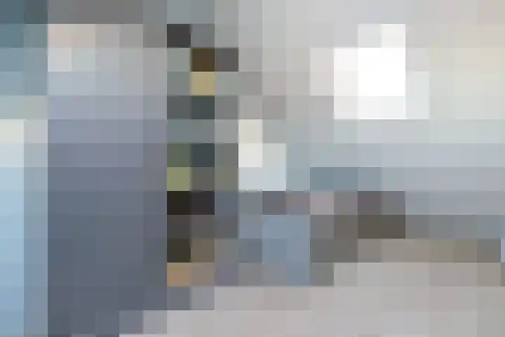 Swaalingestraat 2 Zoutelande thumbnail 40