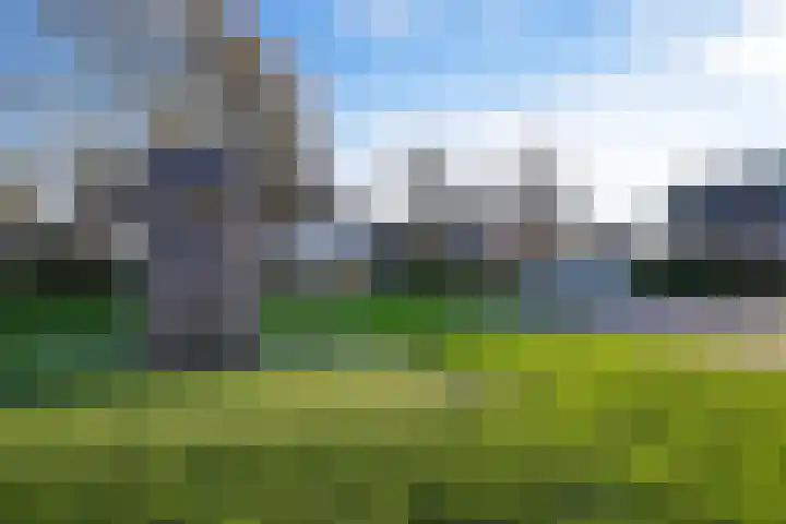Swaalingestraat 2 Zoutelande thumbnail 44