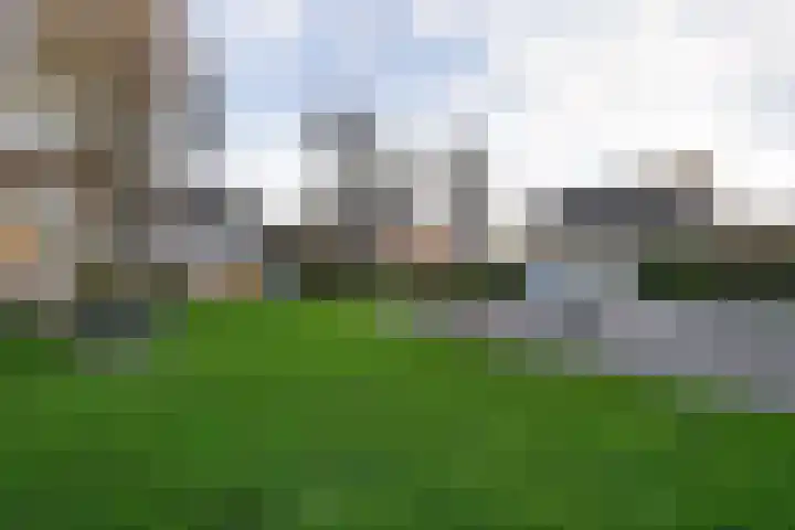 Swaalingestraat 2 Zoutelande thumbnail 45