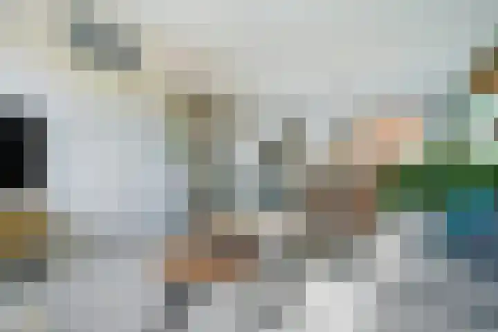 Swaalingestraat 2 Zoutelande thumbnail 5