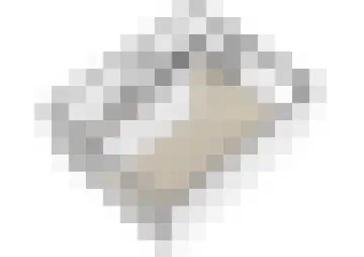 Swaalingestraat 2 Zoutelande thumbnail 50
