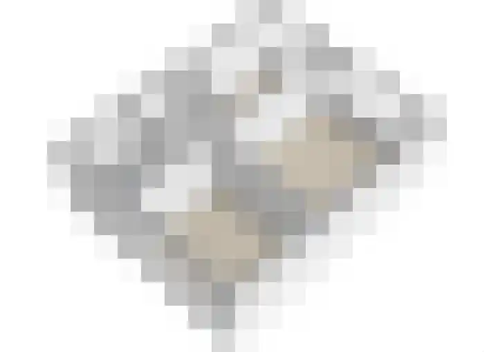 Swaalingestraat 2 Zoutelande thumbnail 51