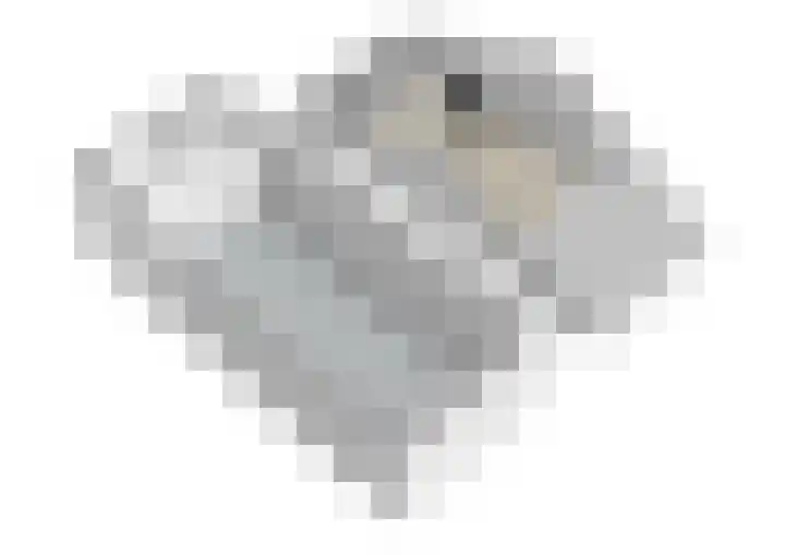 Swaalingestraat 2 Zoutelande thumbnail 53