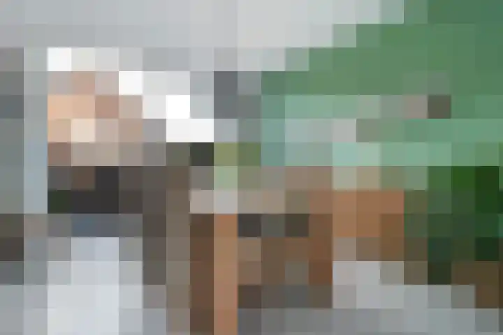 Swaalingestraat 2 Zoutelande thumbnail 6