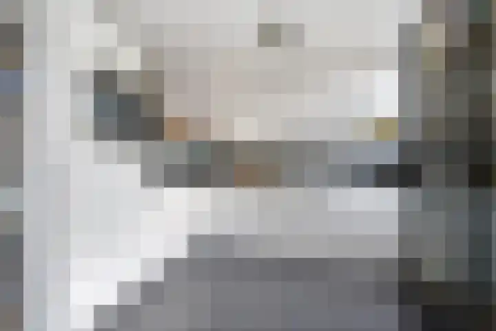 Swaalingestraat 2 Zoutelande thumbnail 8