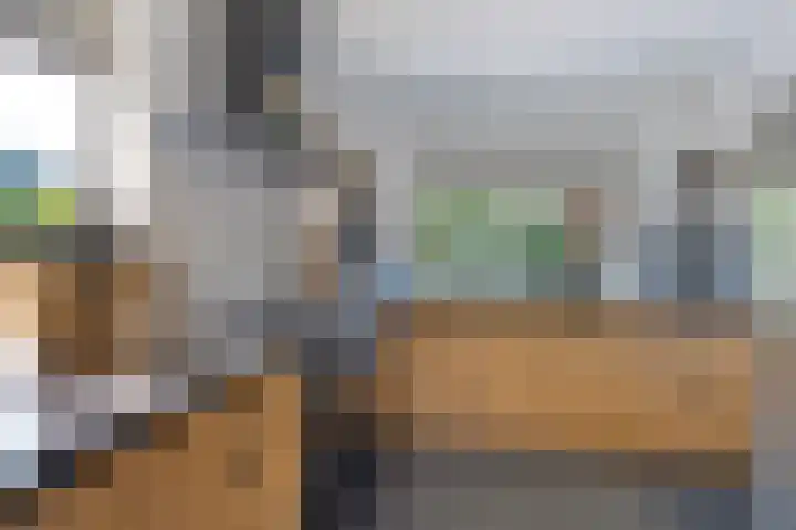 Swaalingestraat 3 Zoutelande thumbnail 10