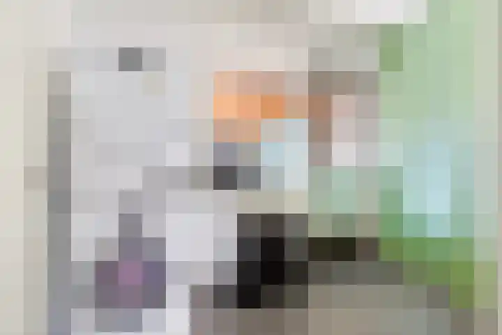 Swaalingestraat 3 Zoutelande thumbnail 12