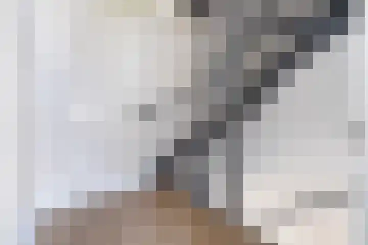Swaalingestraat 3 Zoutelande thumbnail 13